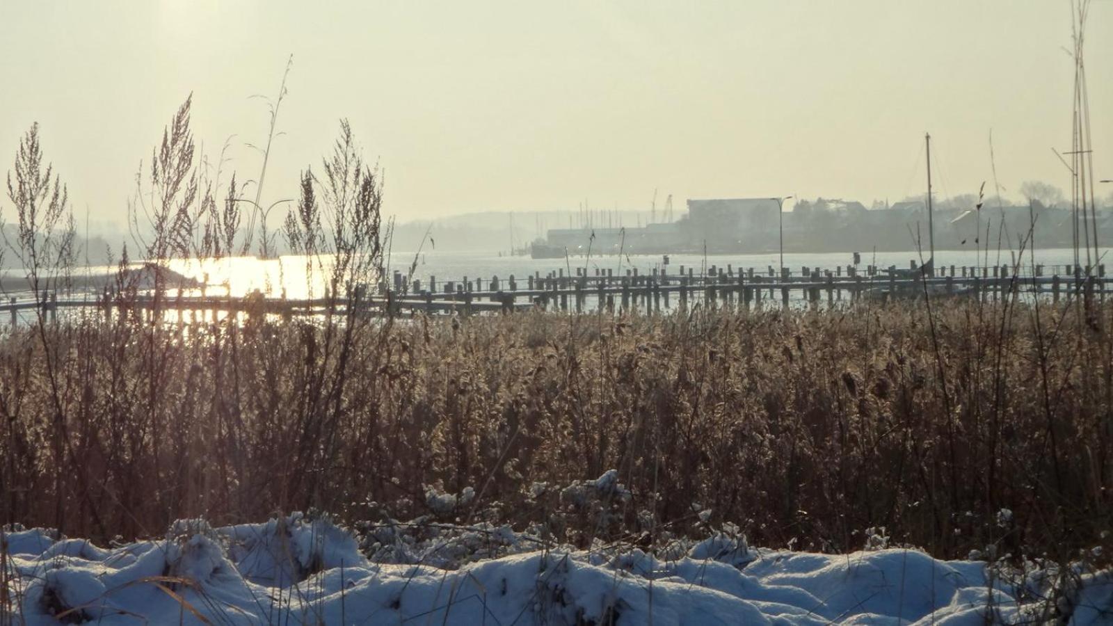 Ferienhaus Dat Smuke Swedenhuus Kappeln Dış mekan fotoğraf